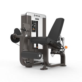 会社概要 - SHUHUA SPORTS CO., LTD.