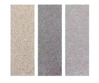 Carreaux de sol extérieurs en porcelaine mate résistants aux intempéries, couleur et taille personnalisées, 12 mm, 18 mm, antidérapants, texture pierre, pour murs extérieurs