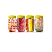 Kit de Fermentation Classique pour Cornichons de 32 oz avec Bocal en Verre à Large Ouverture et Couvercle de Fermentation en Plastique Transparent Écologique