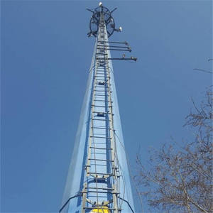 Tour autoportante monopole pour télévision par satellite, télécommunications et antennes paraboliques, 20m 30m 25m, en acier Q345B/Q235B galvanisé à chaud, certifiée ISO/CE - Product Image 5