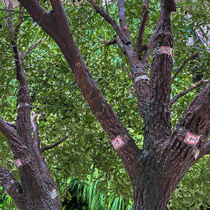 Albero di Ulivo Artificiale in Seta 350cm, Ecologico <span class=keywords><strong>e</strong></span> Durevole, <span class=keywords><strong>Verde</strong></span> Realistico per Decorazioni Interne ed Esterne, Casa <span class=keywords><strong>e</strong></span> Matrimoni - Product Image 3