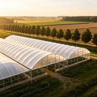 Serre Agricole Commerciale Complète en Kit – Meilleures Ventes