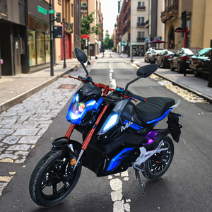 Hochwertiges Elektromotor rad Hochgeschwindigkeits-Blei-Säure-Elektro fahrzeug für Erwachsene Unterstützung Anpassen - Product Image 1