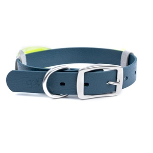 <span class=keywords><strong>Collar</strong></span> LED de seguridad nocturna para mascotas, colorido, con batería ajustable de PVC, impermeable, para exteriores, luz intermitente, para perro - Product Image 2