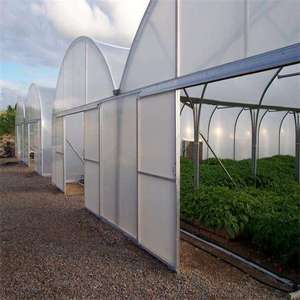 Invernadero de película plástica de varios tramos con estructura de acero, buen aislamiento térmico, resistente al viento y a la nieve, para el cultivo de vegetales y flores. - Product Image 1