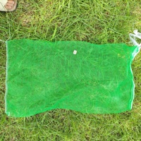 Op Maat Gemaakte Datum Mesh Tas Voor Het Beschermen Van Dadelvruchten Groene Of Witte Palmboom Mesh Tas Met Zwart Trekkoord