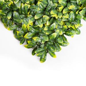 Panel de hierba de trébol de plástico de diferentes colores personalizado telón de fondo Pared de plantas artificiales para decoración interior al aire libre - Product Image 2