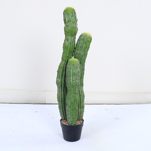 <span class=keywords><strong>Cactus</strong></span> artificiel en plastique, plante paysagère, ornement de jardin pour la décoration intérieure, <span class=keywords><strong>faux</strong></span> arbre, plantes décoratives, plantes artificielles - Product Image 1