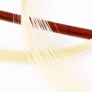 GD302 <span class=keywords><strong>Archet</strong></span> de <span class=keywords><strong>violoncelle</strong></span> octogonal en bois de santal rouge pleine taille <span class=keywords><strong>4</strong></span>/<span class=keywords><strong>4</strong></span>-1/8 avec grenouille en ébène - Product Image 4