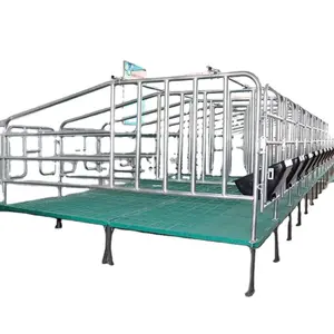 custom cage for guinea pig High quality Sow gestating pen For Pigs pig stalls For Pig farming Equipment limit bar for sow