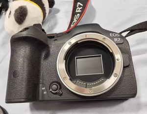 Appareil photo numérique d'occasion <span class=keywords><strong>Canon</strong></span> R7, enregistrement vidéo 4K, appareil photo APS-C, d'occasion - Product Image 5
