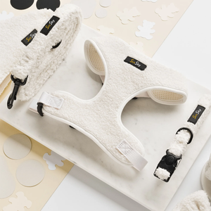 SinSky Teddy <span class=keywords><strong>Dog</strong></span> Arnés Set Diseñador de lujo Collares de perro personalizados y correas a juego Logotipo de goma - Product Image 6