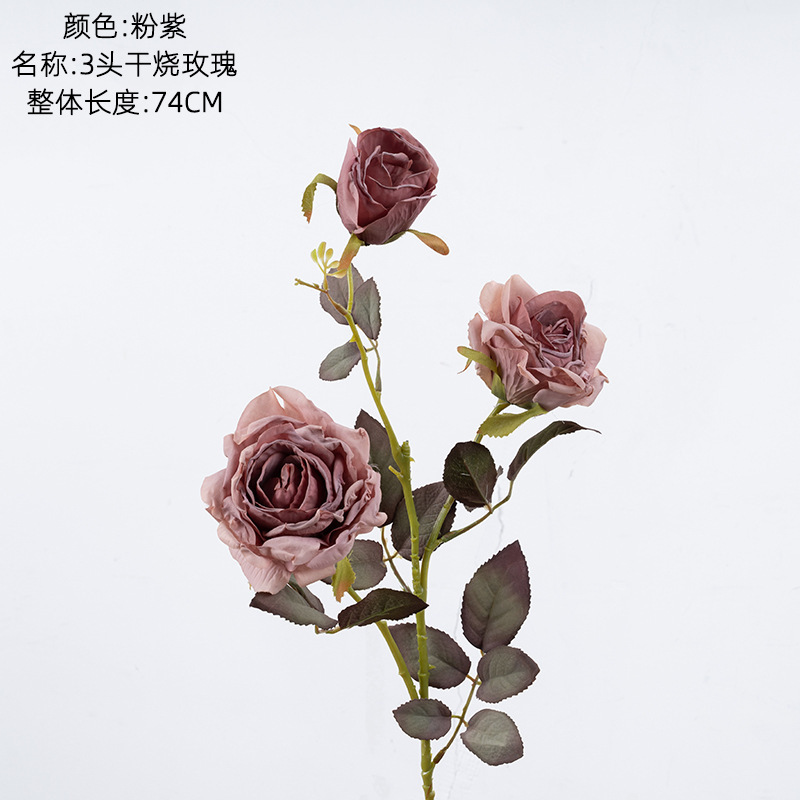 Rose et violet