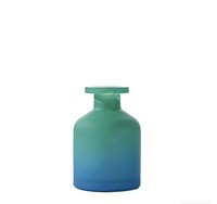 Bouteille diffuseur de parfum 100 ml en verre coloré, forme ventrue, pour la maison, purification de l'air, huiles essentielles, durable et élégante