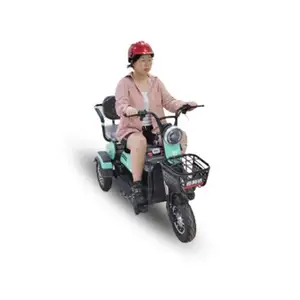 Easy To Operate Recreational Motorized Tricycle For Adult Use Tricycles Auto Rickshaw