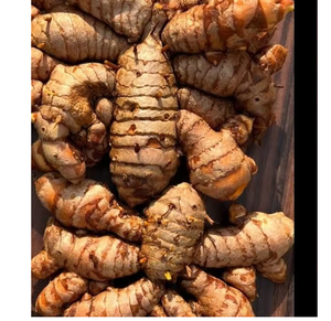 Raíces de Cúrcuma Naturales, Especia Aromática para la Elaboración de Alimentos, Uso Culinario, Comercio al por Mayor y Exportación - Product Image 3