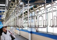 Équipement mobile d'abattage de poulets et de dindes à prix d'usine avantageux pour les machines et équipements agricoles