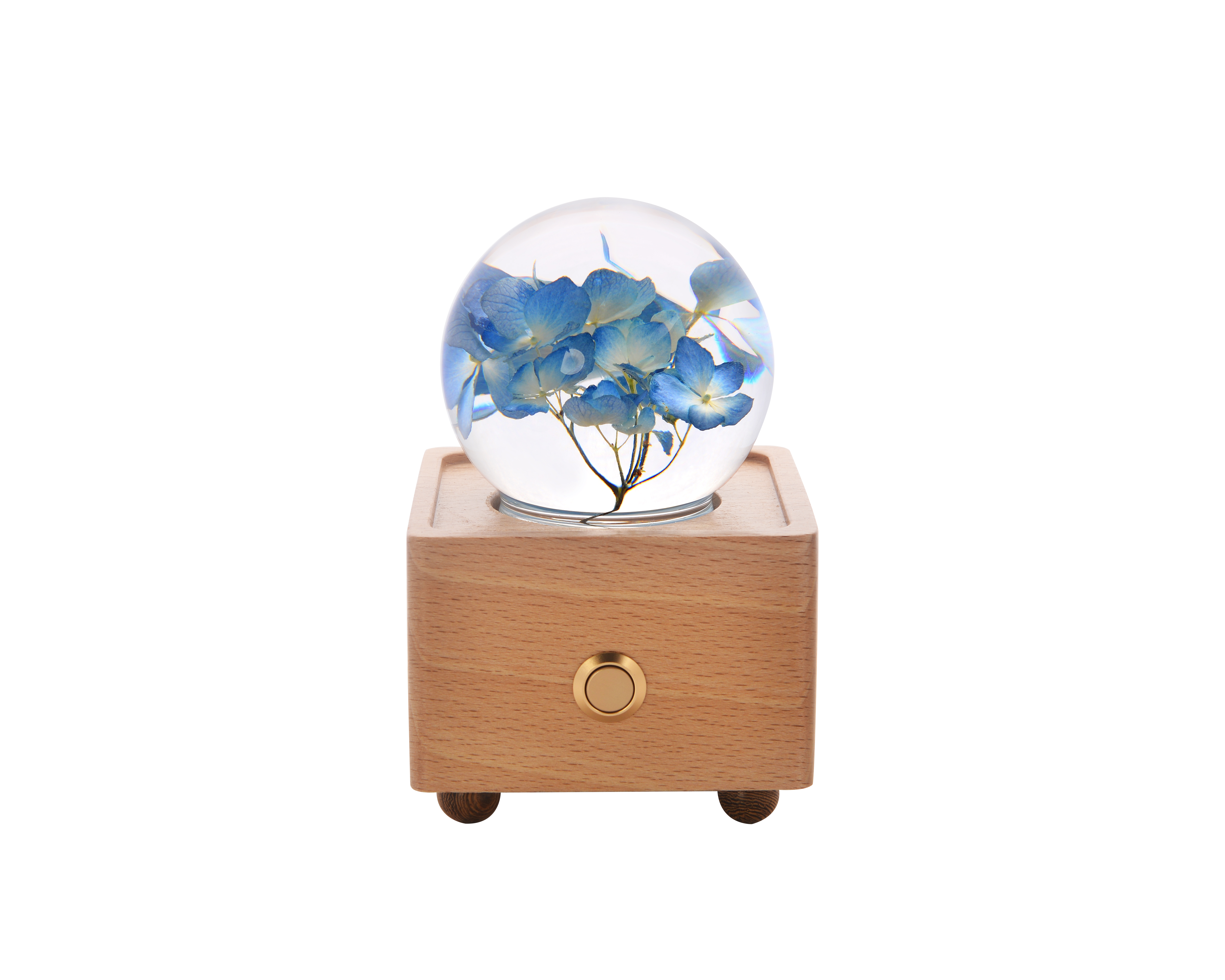 Blue Hydrangea