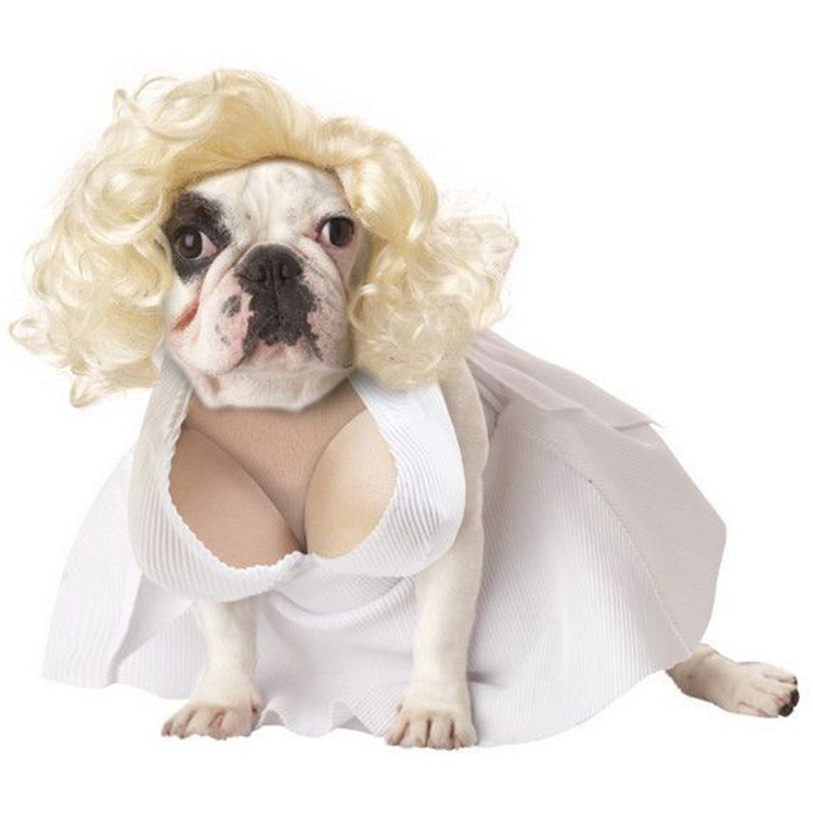 sexy dog costume for women