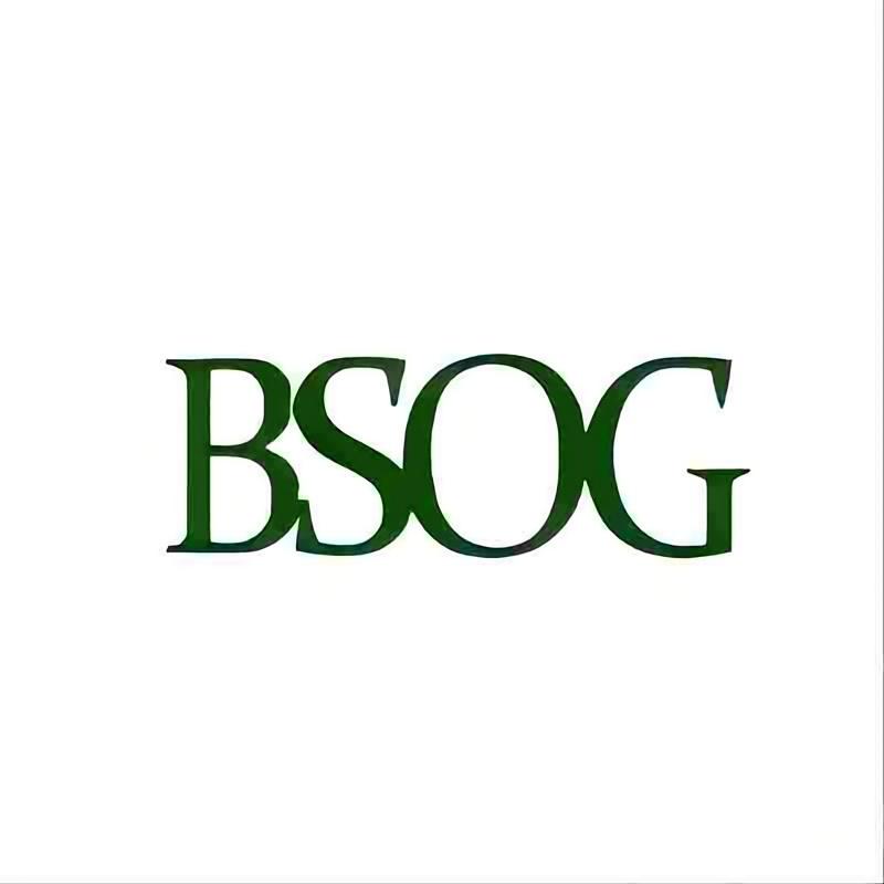 Guangzhou Baisheng Ozone Equipment Co., Ltd. logo