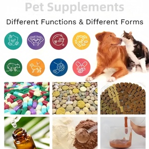 Bán chạy nhất hỗ trợ bổ sung sức khỏe vật nuôi đường ruột và bổ sung vitamin men vi sinh cho chó và mèo - Product Image 6