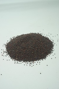 โบตานี ราสปาตี: ผู้จัดจำหน่ายเมล็ดผักชีฝรั่งพันธุ์ให้ผลผลิตสูง ไม่ขม - Product Image 3