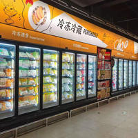 Congélateur vertical commercial à porte vitrée, à température unique, avec refroidissement par compresseur, pour supermarché