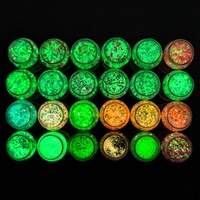 Livraison gratuite depuis l'entrepôt américain, 24 couleurs, 2 oz, mélange de paillettes fines et épaisses qui brillent dans le noir pour les gobelets en résine