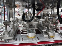 Machine de remplissage et de scellage entièrement automatique à servomoteur pour petits gobelets à glaçons