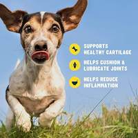 Pas encore d'avis Marque privée Suppléments pour les hanches et les articulations des chiens Échantillon gratuit Soins de santé et suppléments pour animaux de compagnie OEM Gain musculaire à mâcher