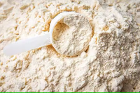 Service OEM Isolate de protéine de lactosérum 90% à dissolution instantanée pour la récupération musculaire