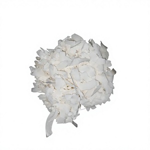 Coco Deshidratado Fresco en Hojuelas, Coco Blanco en Trozos para Repostería y Procesamiento de Alimentos - Product Image 1