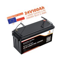 Batterie LiFePO4 de haute qualité 25,6 V 100 Ah pour camping-car, marine, stockage hors réseau, protection IP65, protection basse température, directement de l'usine, Bluetooth
