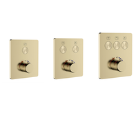 Robinet de douche thermostatique encastré à 2 voies avec bouton poussoir mural pour salle de bain