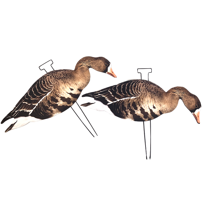 SQ313 Specklebelly goose decoys brown