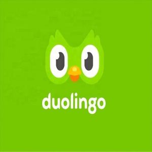 Cuenta Premium Duolingo Pro 1 Año, Activa Tu Propia Cuenta, Aplicable Globalmente en Todo el Mundo - Product Image 4