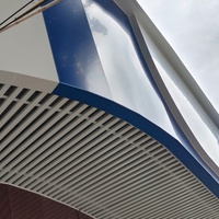 Système de plafond suspendu à lamelles linéaires en aluminium pour l'extérieur, projet de plafond intérieur commercial