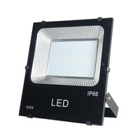 Projecteur LED DC 12V 10W-200W 24V, étanche IP66, pour la pêche nocturne en mer, éclairage paysager, lampe de sécurité extérieure