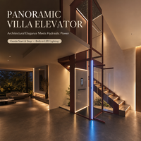 Plateforme élévatrice hydraulique pour villa, mini-ascenseur électrique domestique, ascenseur pour loft