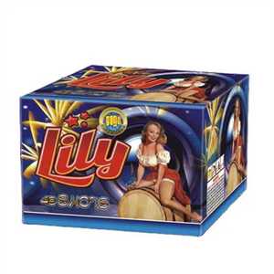 ¡Gran Oferta! Venta Directa de Fábrica: Fuegos Artificiales de Consumo de 0.8'' con 25, 36, 49, 100, 120, 200, 300 Disparos - Fuegos Artificiales Grandes Tipo Pastel para Cielo Abierto - Product Image 5