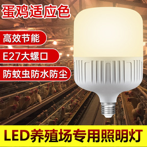 หลอดไฟ LED E27 แสงสีขาวอุ่น 220V 25000H อายุการใช้งาน หลอดประหยัดพลังงานในบ้าน ความสว่างสูง ดีไซน์ปิดผนึกอย่างสมบูรณ์ - Product Image 2