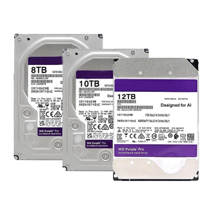 Disco Duro Profesional de Alta Calidad, Nuevo, al por Mayor, Color Morado, 550MB/s, Seguro, para CCTV - Product Image 1