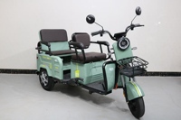 Triciclo Eléctrico Plegable de 3 Ruedas en Oferta, con Batería de Plomo-Ácido de 48V 20Ah y Motor sin Escobillas de 600W para la Familia