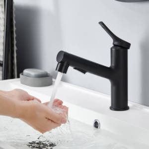 Grifo Mezclador Extraíble para Lavabo de Acero Inoxidable SUS 304 - Product Image 5