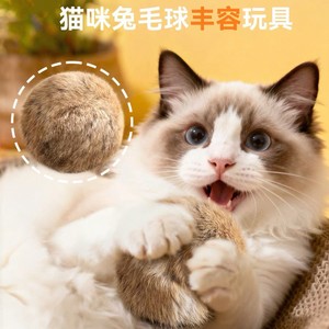 Jouet pour chat Dini Rabbit Fur Ball, boule de poils naturels, jeu interactif pour chats, soulagement de l'ennui, jouet pour animaux de compagnie pour brûler l'énergie - Product Image 3