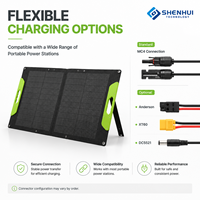 Panneau solaire pliable de 100 watts, chargeur solaire portable pour le camping, la randonnée, le camping-car, solution d'énergie de secours d'urgence