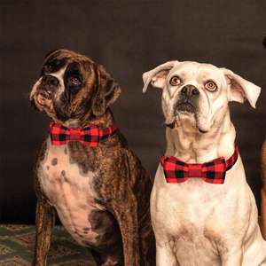 Collar de perro con pajarita para mascota, colorido, ajustable, escocés, tartán, clásico, a cuadros, patrón escocés - Product Image 5