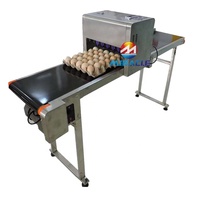 Automatische Ei-Inkjet-Drukmachine Ei-Datum Stempel Inkjetprinter