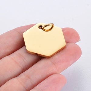 Disque d'identification pour animaux de compagnie en acier inoxydable robuste, pendentif durable et gravable de 23x25mm pour collier de chien ou de chat - Product Image 4