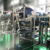 Industriële Sapcentrifuge Machine Fruitconcentraat Productielijn Appelpeer Ananas Riem Type Sapafzuiger